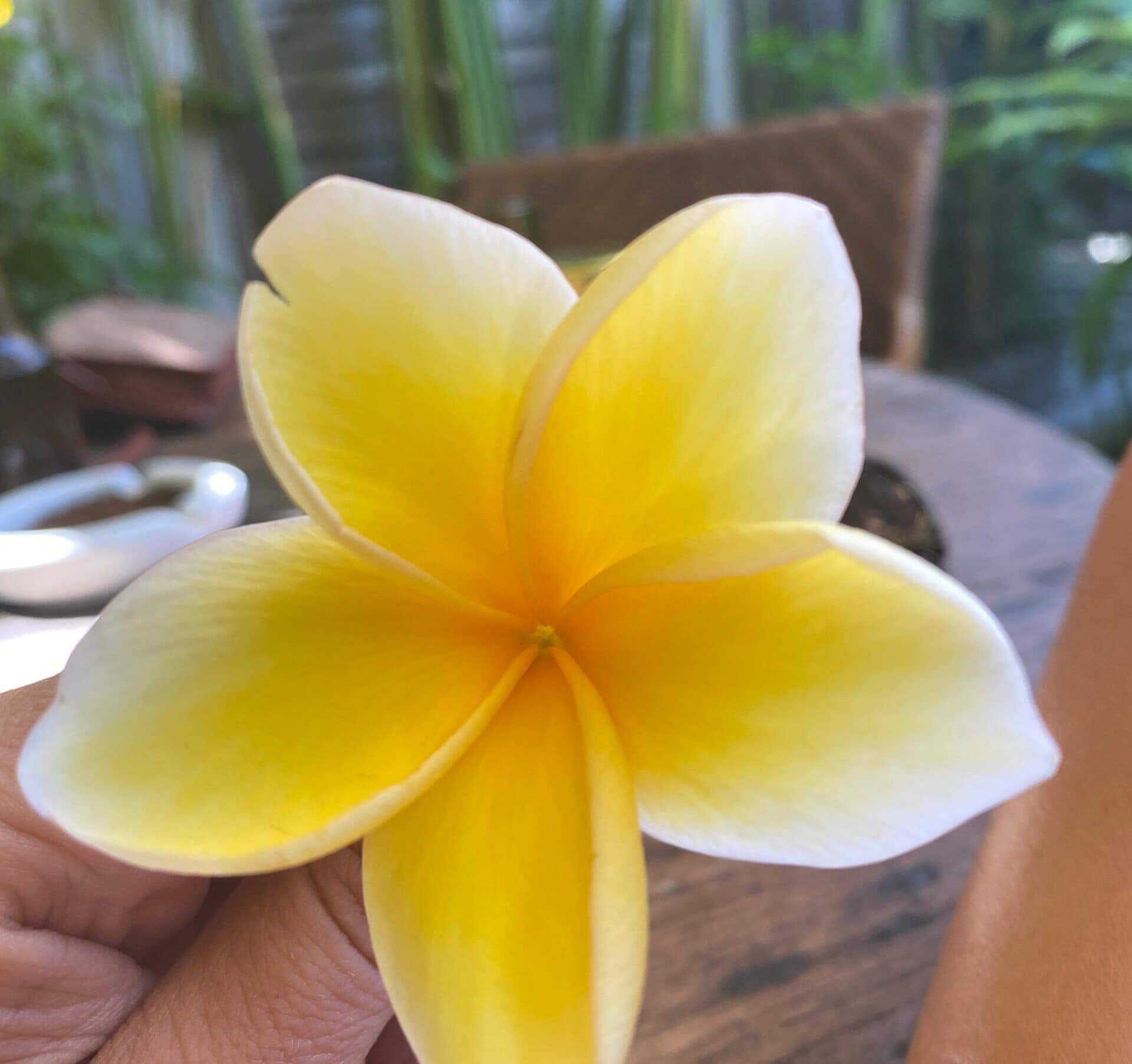 gYmtOApiSHODFT4a3uJGfA-scaled